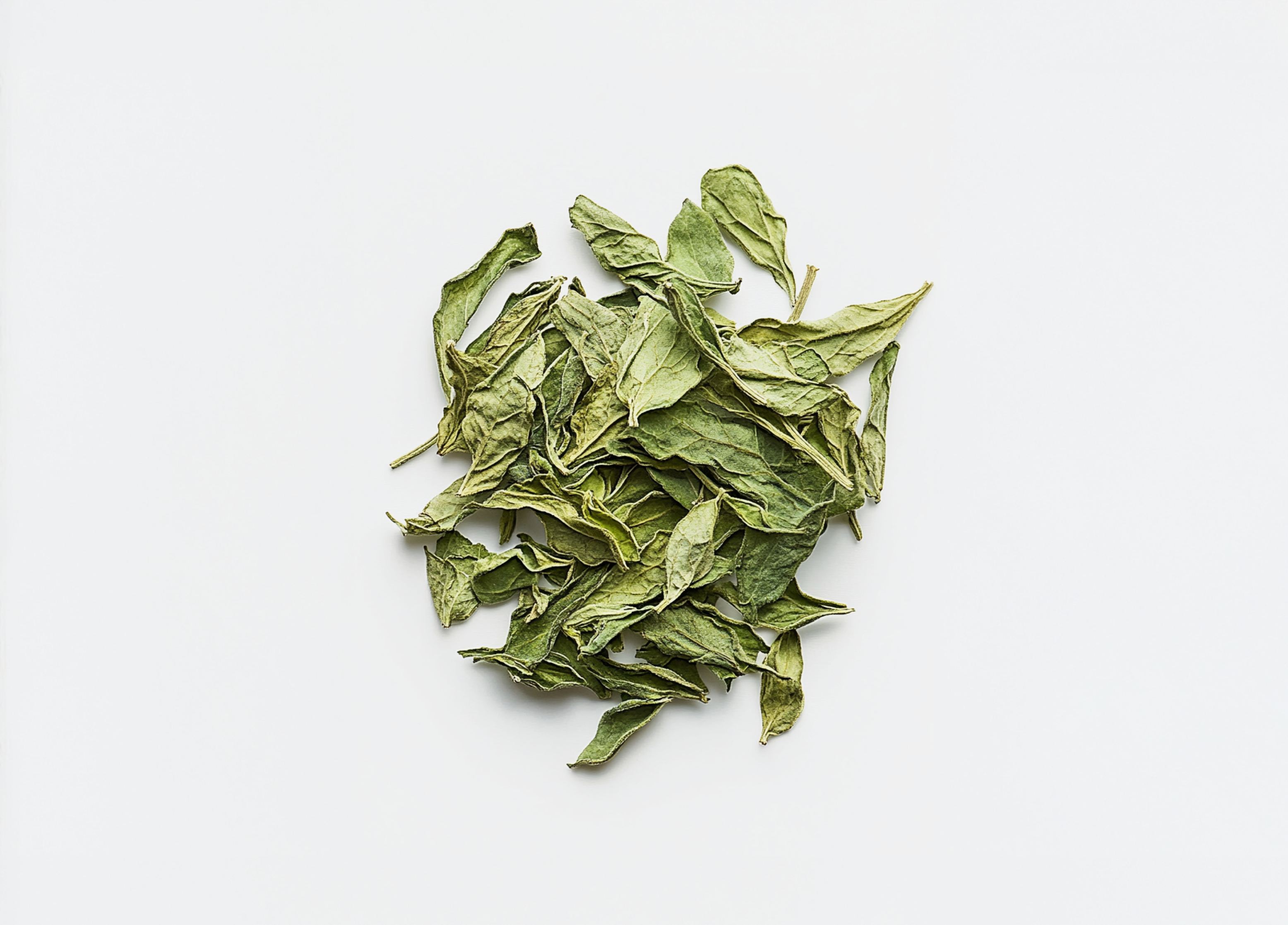 Stevia Leaf