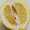 Iced Tea Lemonade