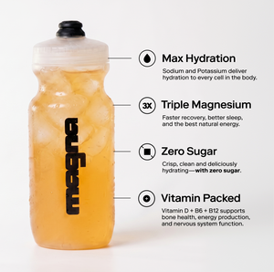Peach Iced Tea | 28 Count